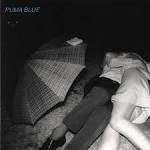 Puma Blue — In Praise Of Shadows